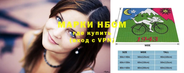 шишки Баксан