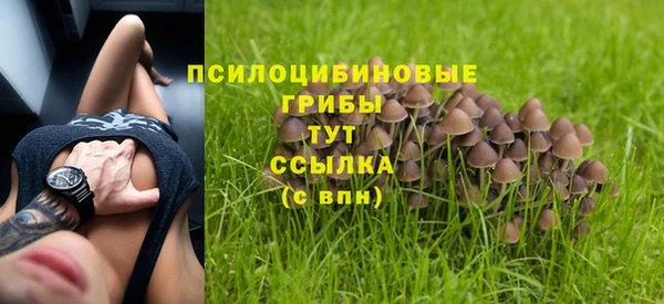 шишки Баксан