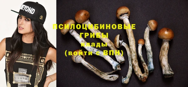 спиды Балахна