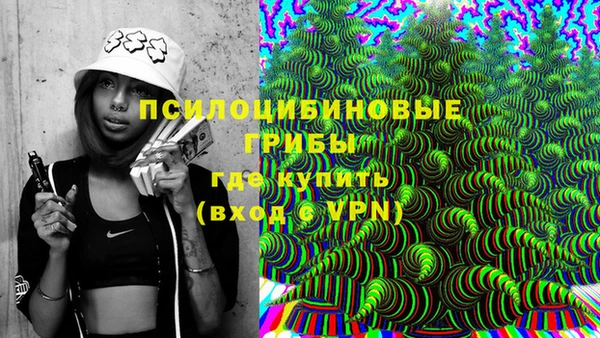 соль ск Балабаново