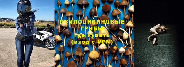 шишки Баксан