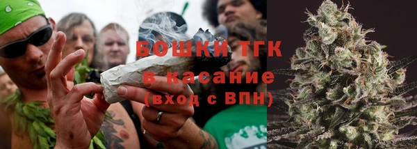 шишки Баксан