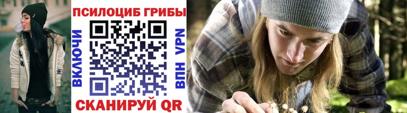 Псилоцибиновые грибы мухоморы  blacksprut маркетплейс  Лыткарино 