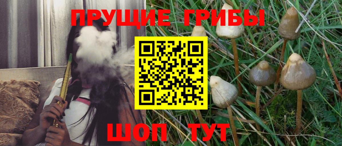 Галлюциногенные грибы мицелий  Галлюциногенные грибы MAGIC MUSHROOMS  Вход с VPN  Лыткарино 
